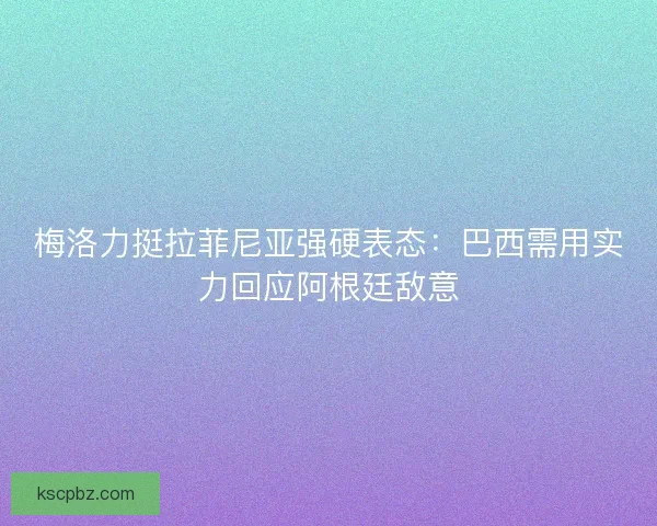 梅洛力挺拉菲尼亚强硬表态：巴西需用实力回应阿根廷敌意